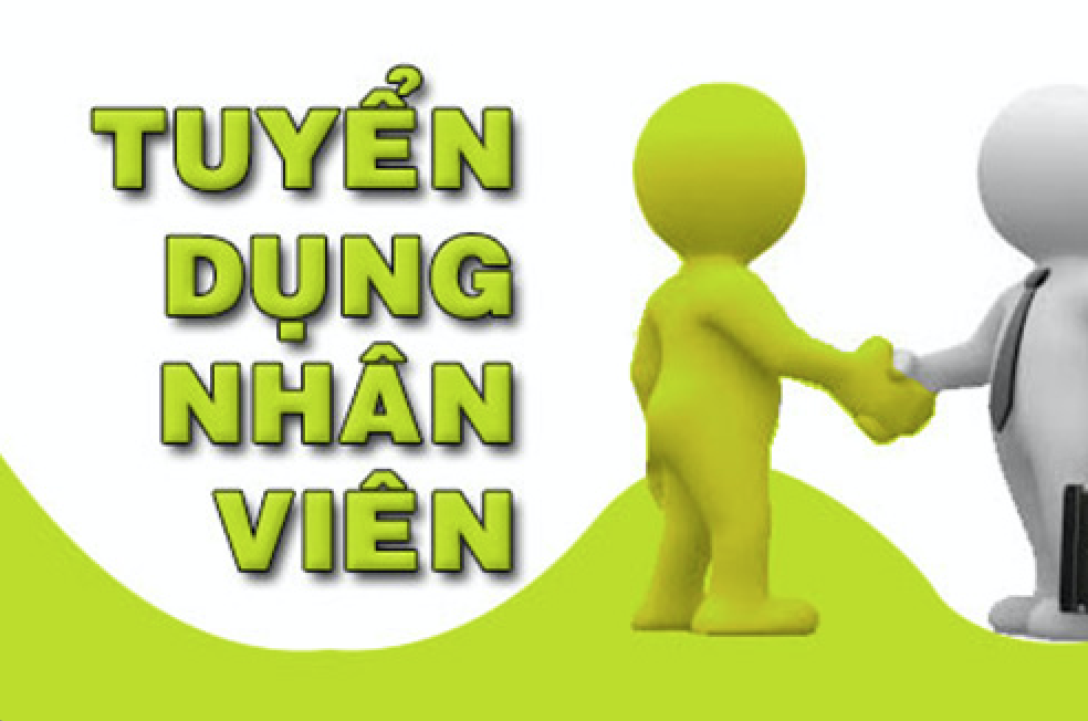 lĩnh vực hoạt động